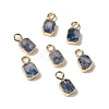 Natural Blue Spot Jasper Rectangle Charms G-Q169-07G-02-1
