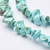 Synthetic Turquoise Beads Strands G-D283-3x5-10-2