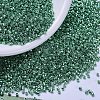 MIYUKI Delica Beads X-SEED-J020-DB0426-1