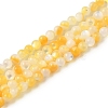 Natural Yellow Shell Beads Strands SHEL-M021-03A-1