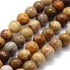 Natural Fossil Coral Beads Strands G-G763-12-6mm-5