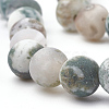 Natural Tree Agate Beads Strands G-T106-037-2