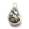 Natural Abalone Shell/Paua Shell Pendants PALLOY-JF00477-02-3