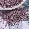 MIYUKI Delica Beads Small SEED-X0054-DBS0728-1