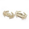 Alloy Pendants TIBEP-A040-016G-NR-2