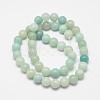 Round Natural Flower Amazonite Bead Strands X-G-I183-02-6mm-2