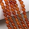 Round Natural Red Agate Bead Strands G-M257-10mm-26-7