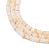 Natural Freshwater Shell Beads Strands SHEL-P017-01A-10-3