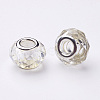 Glass European Beads X-GDA001-01-2