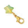 Star Acrylic Pendant Decorations HJEW-JM04576-5