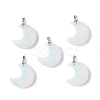Opalite Pendants G-Z022-04K-1