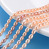 Natural Cultured Freshwater Pearl Beads Strands PEAR-N012-02C-1