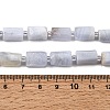 Natural Blue Lace Agate Beads Strands GG-CBA8682-A03-01-5