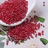 MIYUKI Delica Beads X-SEED-J020-DB0162-1