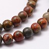 Natural Polychrome Jasper/Picasso Stone/Picasso Jasper Bead Strands G-G735-14-6mm-3
