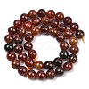 Natural Garnet Beads Strands G-H300-A01-02-3
