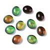 Glass Cabochons GLAA-R218-01-2