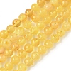 Natural Amber Beads Strands G-L095-B01-6mm-01-2