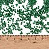 Baking Paint Glass Seed Beads X-SEED-S042-05B-66-4