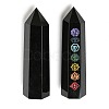 Natural Obsidian Display Decoration G-A217-15-3
