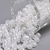 (Repacking Service Available) Glass Seed Beads SEED-C020-4mm-141-1