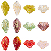 60Pcs 2 Styles Transparent Glass Beads GLAA-SC0002-96-7