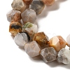 Natural Fossil Coral Beads Strands G-K382-A07-02-4