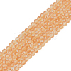 Glass Beads Strands EGLA-A034-T4mm-D23-2