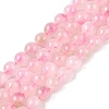 Dyed Natural White Jade Beads Strands G-T138-6mm-210-20-4
