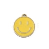 304 Stainless Steel Enamel Charms STAS-I325-063G-03-1