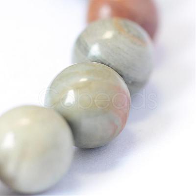 Natural Silver Leaf Jasper Round Bead Strands G-E334-6mm-04-1