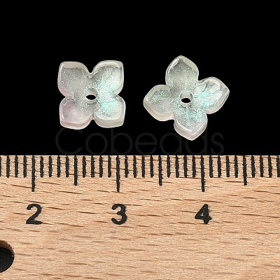 Dyed & Heated Glass Bead Caps GLAA-Z019-01C-1