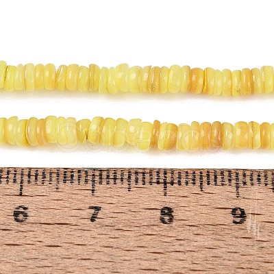 Natural Freshwater Shell Beads Strands SHEL-Q028-01C-1