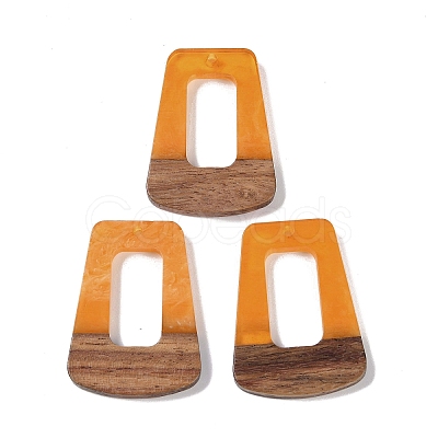 Resin & Wood Pendants WOOD-F015-11F-1