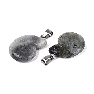 Natural Labradorite Pendants G-Q601-45B-1