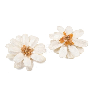 Epoxy Resin & Dried Flower Big Pendants RE-CBAAE94-01D-1