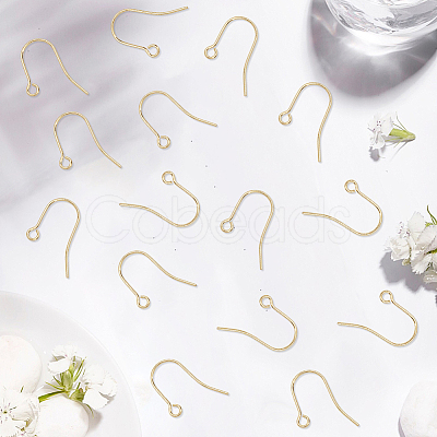 100Pcs 304 Stainless Steel Earring Hooks STAS-BBC0008-78B-1