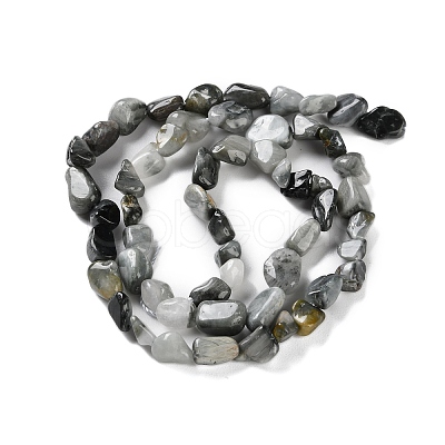 Natural Eagle Eye Stone Beads Strands G-P497-01C-52-1