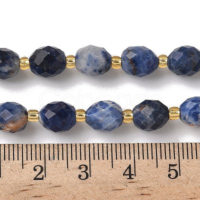 Natural Sodalite Beads Strands G-F809-A19-01A-1