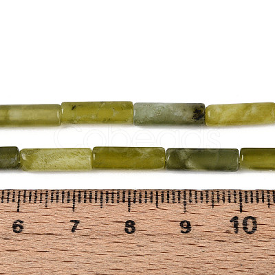 Natural Xiuyan Jade Beads Strands G-T141-73-1