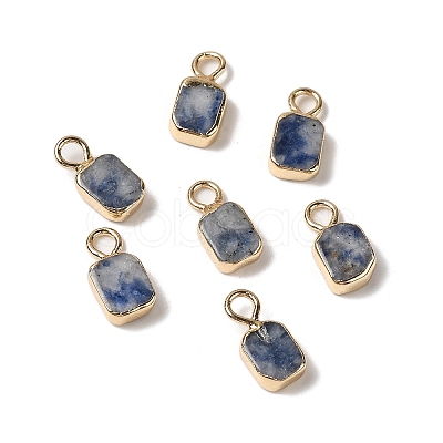 Natural Blue Spot Jasper Rectangle Charms G-Q169-07G-02-1