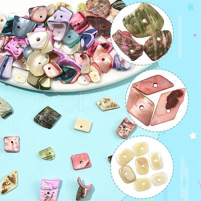 165G 12 Styles Dyed Natural Freshwater Shell Chips Beads SHEL-FS0001-20-1