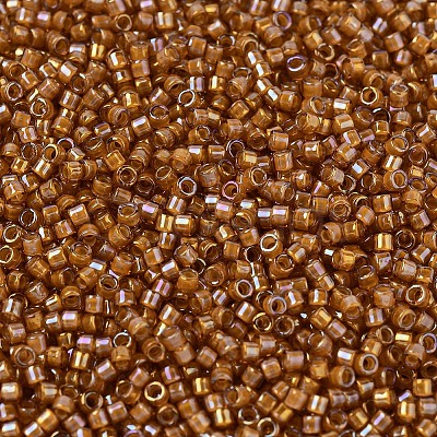 MIYUKI Delica Beads SEED-X0054-DB1734-1