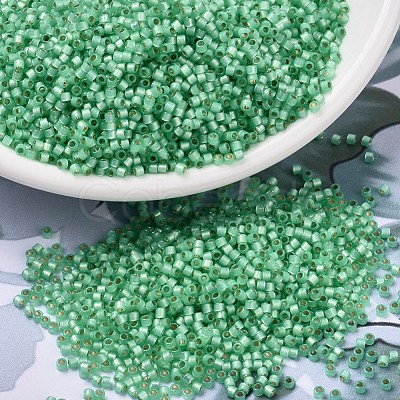 MIYUKI Delica Beads SEED-J020-DB2188-1