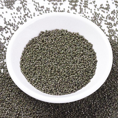 MIYUKI Delica Beads X-SEED-J020-DB0657-1