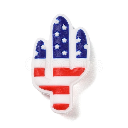 Independence Day Silicone Focal Beads LS-SIL-R147-01B-1