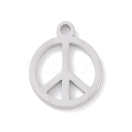 Non-Tarnish 304 Stainless Steel Charms STAS-K286-01B-P-1