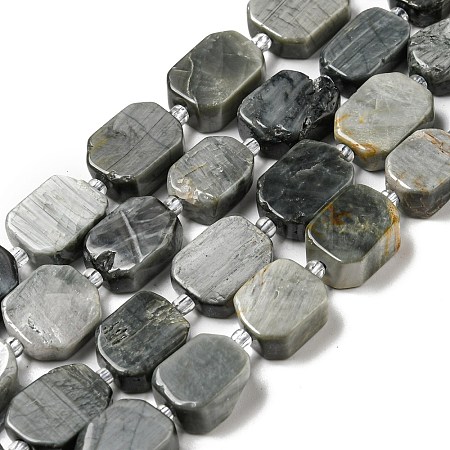 Natural Eagle Eye Stone Beads Strands G-G072-B01-01-1