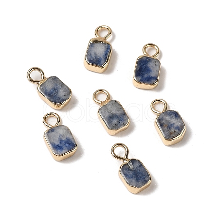 Natural Blue Spot Jasper Rectangle Charms G-Q169-07G-02-1