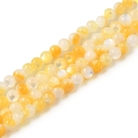 Natural Yellow Shell Beads Strands SHEL-M021-03A-1